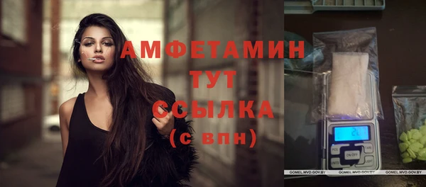 дмт Арсеньев