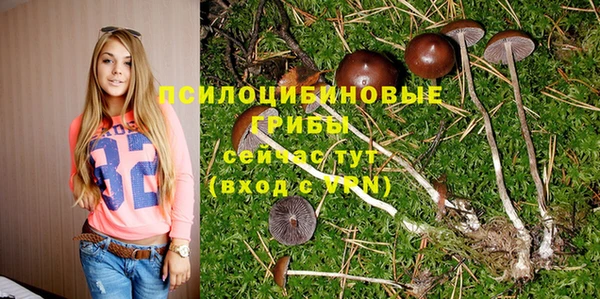 стафф Армянск