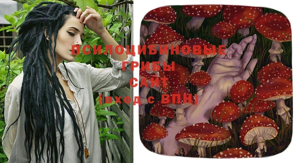 дмт Арсеньев