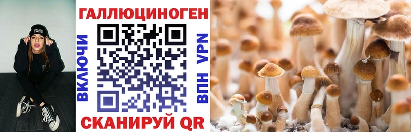 Галлюциногенные грибы GOLDEN TEACHER  Полысаево 